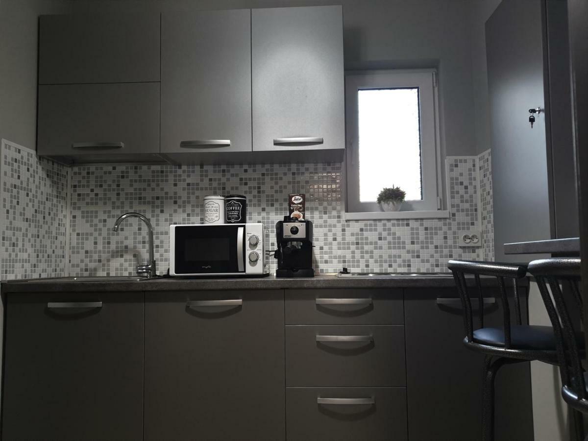 Irina Apartments Timisoara Exterior photo