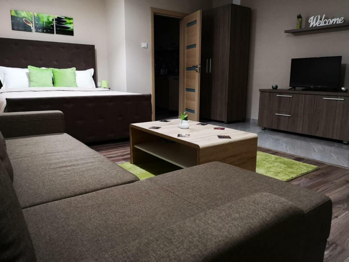 Irina Apartments Timisoara Exterior photo